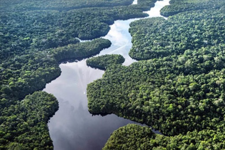 deforestación Brasil