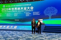 industria forestal en China