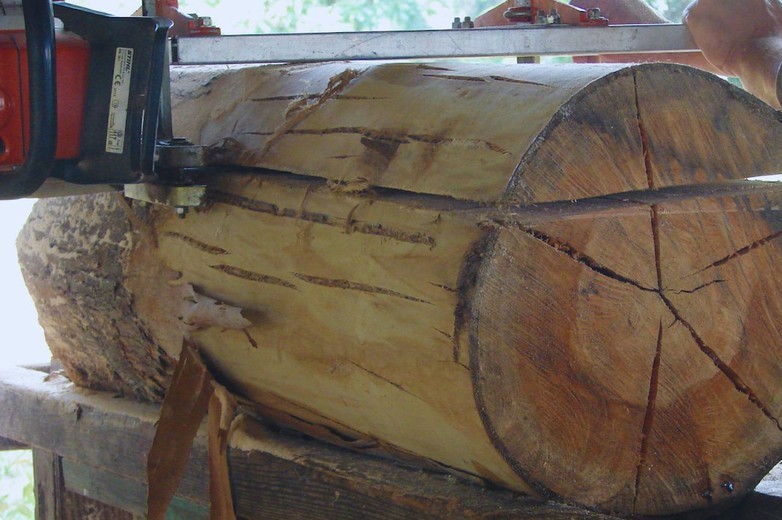 innovación forestal