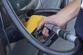 precios de referencia de Ursea